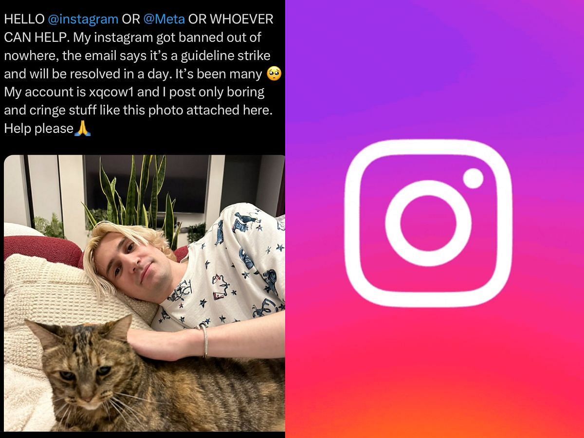 I post only boring and cringe stuff” - xQc reveals why his Instagram  account was banned, pleads with Meta to resolve the issue